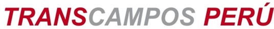 dark logo